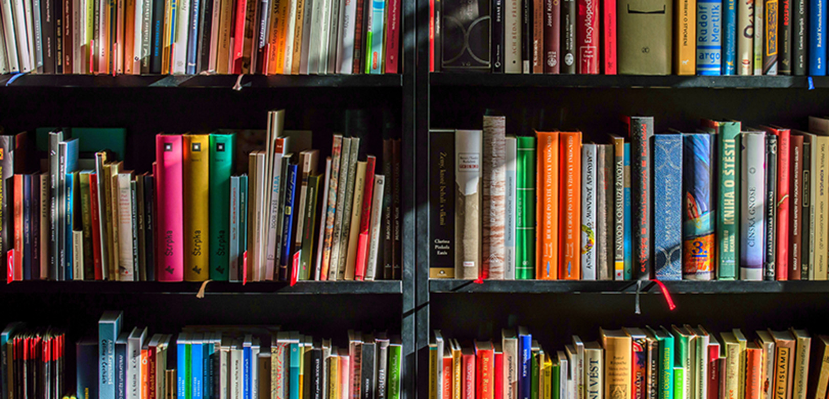 Amberton University Bookshelf in Library